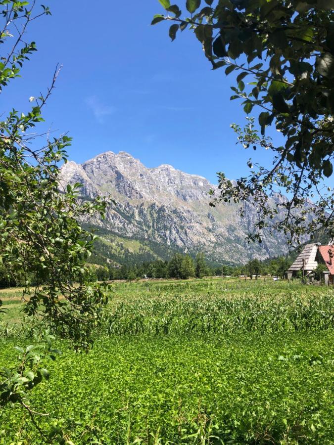 Guest House Ledio Валбона Экстерьер фото
